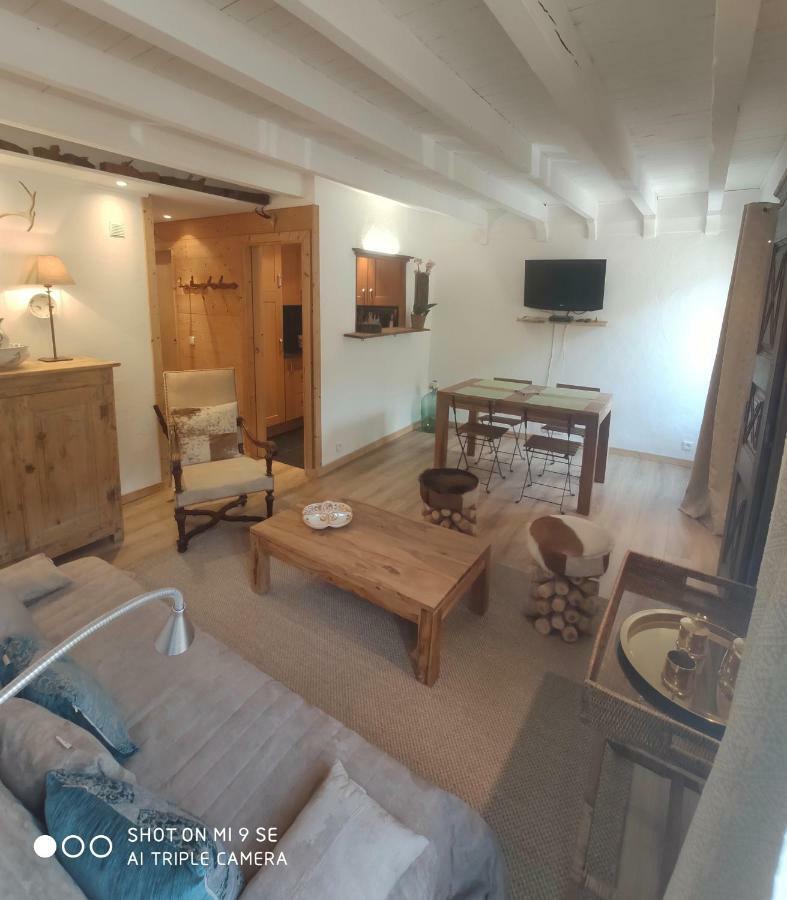 Chez Rosine Daire Saint-Sauveur-sur-Tinée Dış mekan fotoğraf